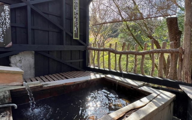 Sujiyu Onsen Kujyu Iyashi no Sato Hotel Dai Kogen