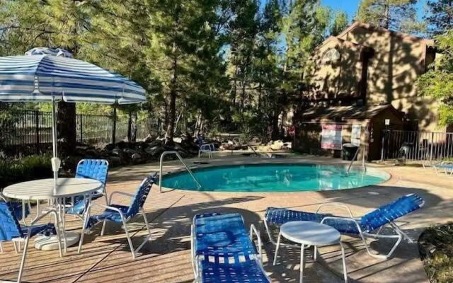 THE Bigbear Bear House #2469