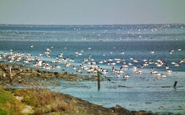 Sunlit Villa with Sauna in Nes