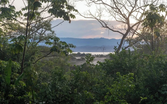 Villa Bruno - Terrace - Jungle - Birdwatching