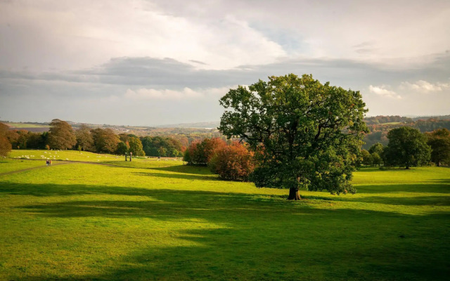 Hol Inn Express East