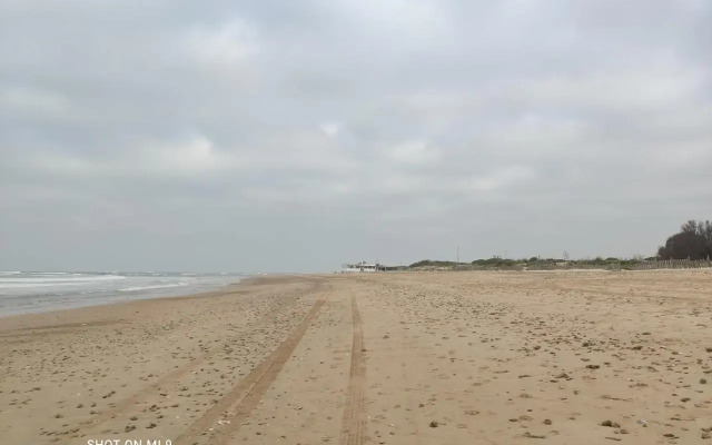 La Pavona 11 - 1ª linea de Playa