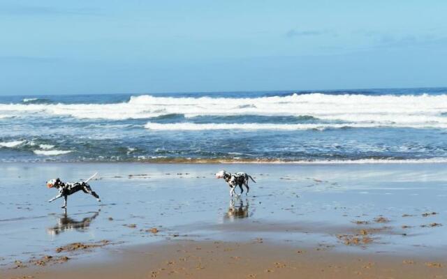 Mega Ocean Magoito - Guest House - Sintra