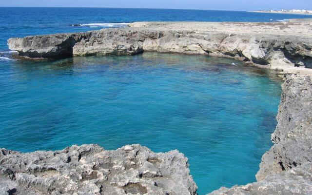 Cosy apartment in Racale with private terrace