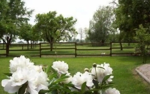 Agri Village Pavia