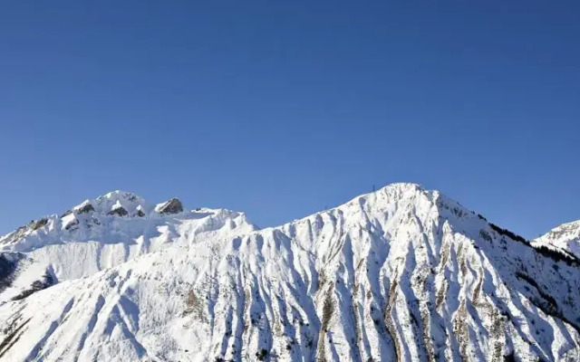 Chalets Cocoon