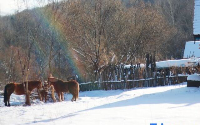 Wu chang xue gu bi lao lv ke zhan