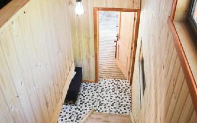 Llaima Camp