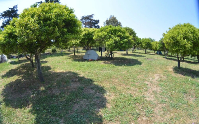 Bodrum Ecofarm Camp Hostel