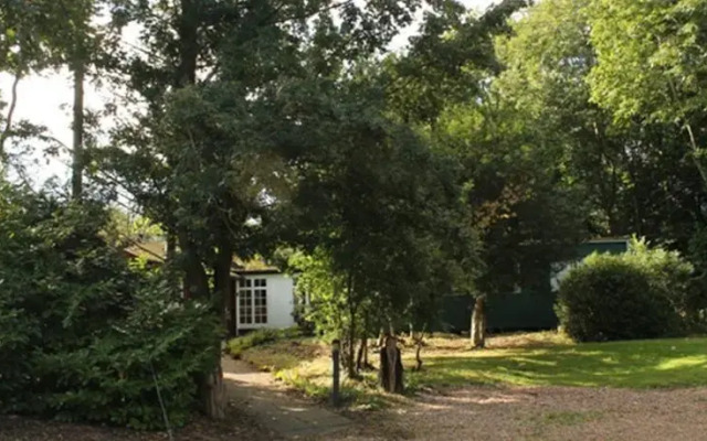 Woodland Lodge-art Activ
