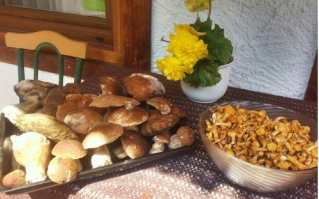 Haus Talblick