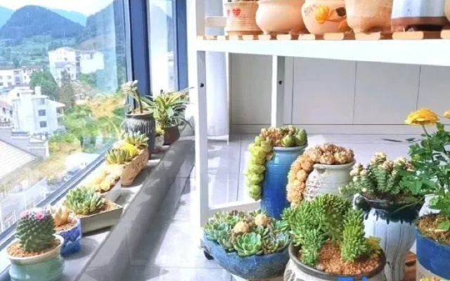 Furong Town Erjie Homestay – Outside – Xiangxi