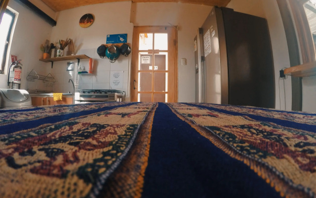 Rey Lagarto Hostel