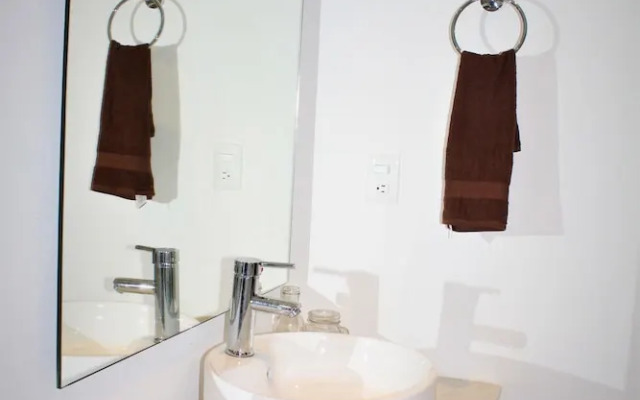 Stay Tropical Downtown Studios