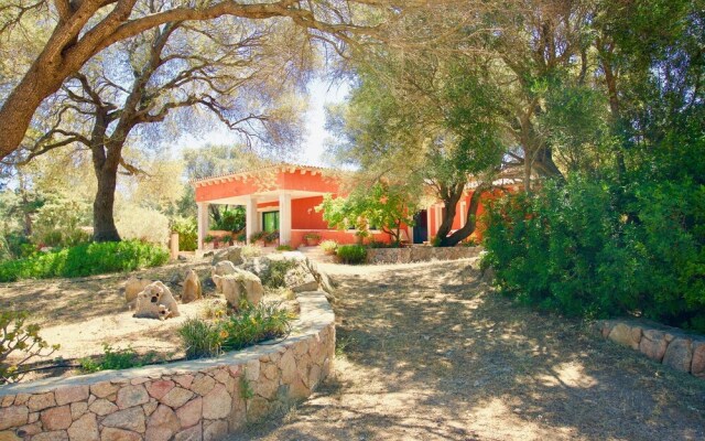 Domos Pintadas Apt. 3 Porto Rotond