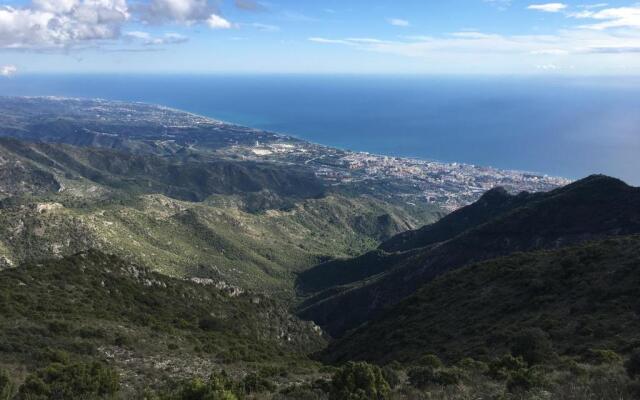 Yellow Jasper - Gemstone Getaway