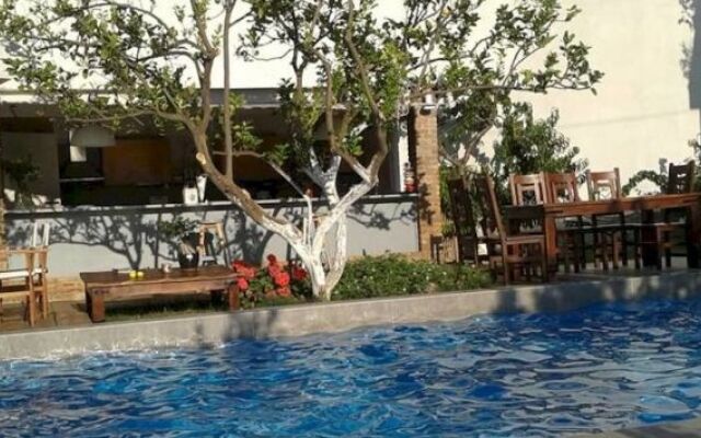 Tree of Life Art Hotel