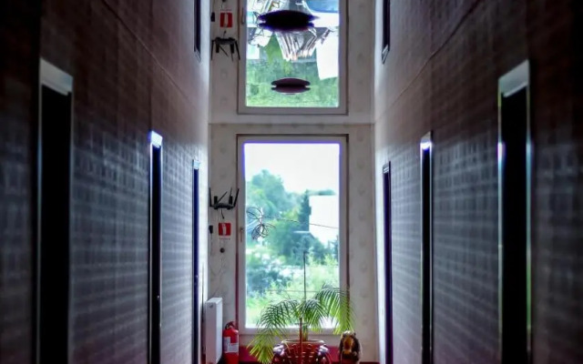 Hostel Roata Cu Noroc