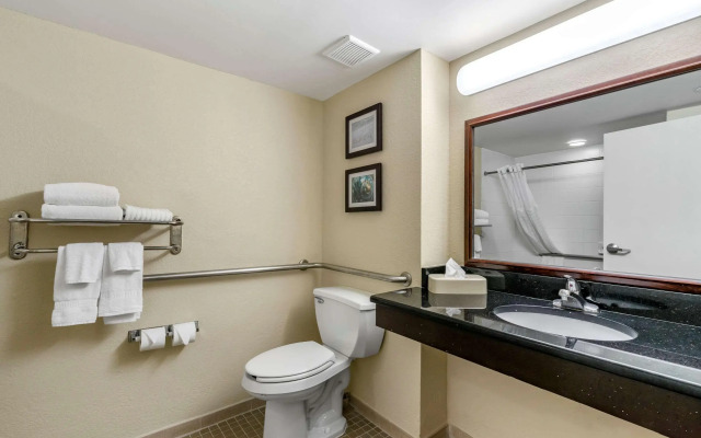 Comfort Inn & Suites St. Pete - Clearwater International Airport