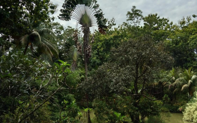 Sepilok Jungle Resort