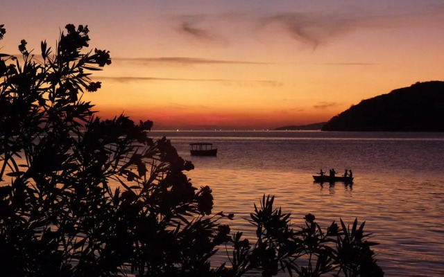 Thumbi View Lodge