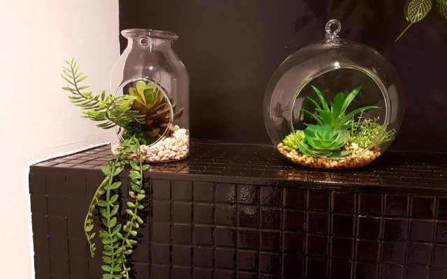 Naeva Feng Shui