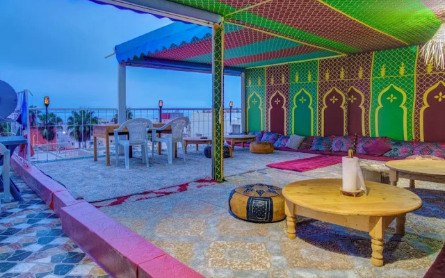 Dinosaur anza surf house