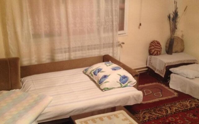 Mickey's Guest House