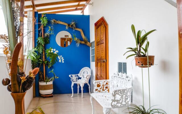 Hostal Macaw