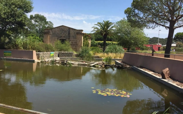 Studio Bord de Mer (Wifi + Netflix)