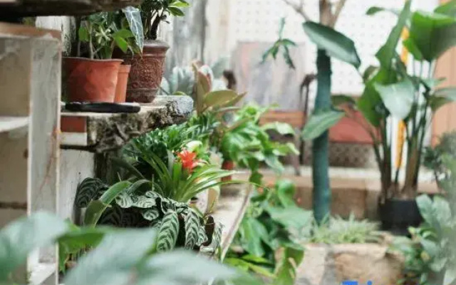 Shankara Youth Hostel
