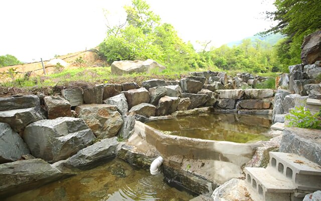Asan Gracia Pension