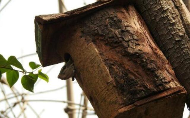 The Coral Tree Homestay