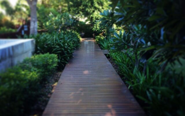 The Billi Resort