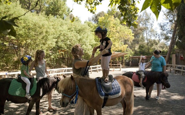 Comfortable Apartment With Dishwasher, 1 km. From the Beach