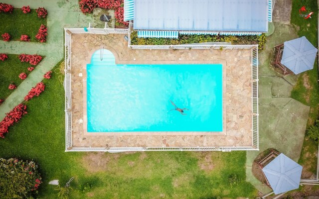 L Oeil Dans le Bleu
