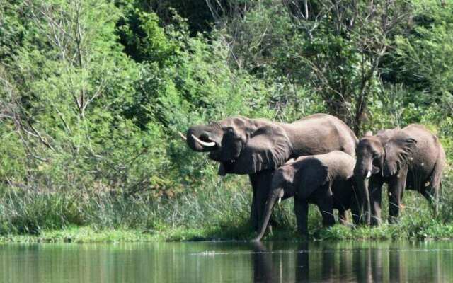 Kabalega Wilderness Lodge