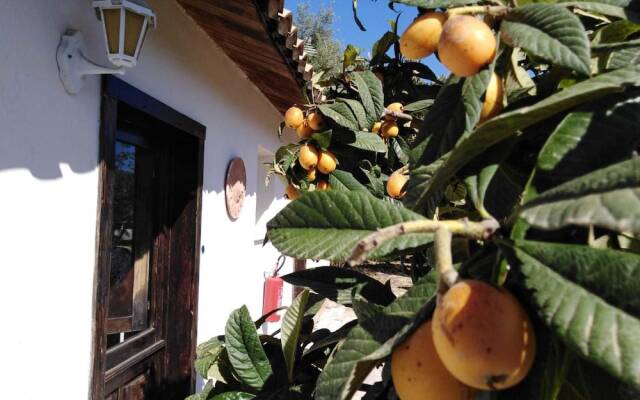 Agriturismo Capo Corso