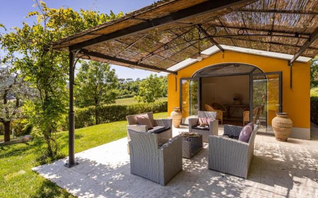 Le Querce Dei Medici 12 2