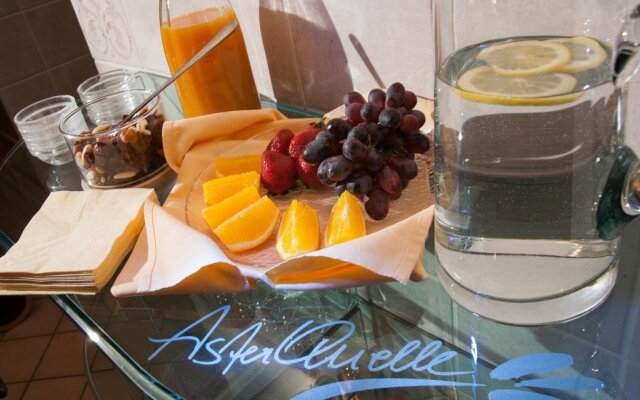 ASTER Boutique Hotel & Chalets