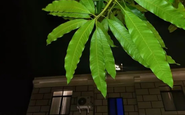 Qijianfang B&B (Weizhou Island Shiluokou Beach Branch)