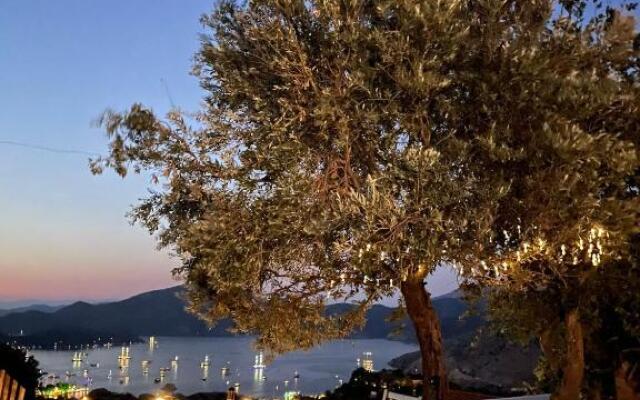 Selimiye Manzara Evim