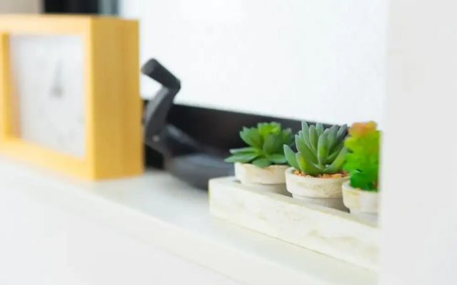 Base Hanegi Apartment