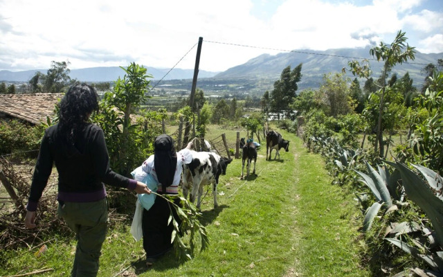 Runa Tupari Homestay Lodge