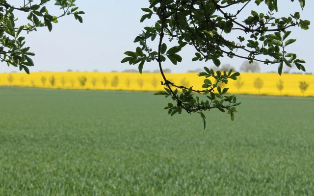 Spacious Pet-friendly Holiday Home in Marlow