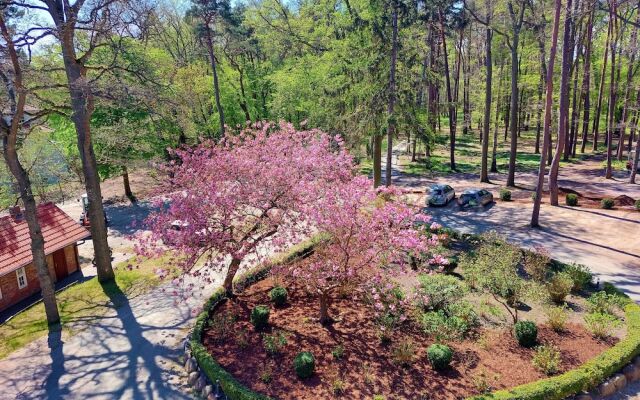 Hotel Lindequist und Wald Hostel Sellin