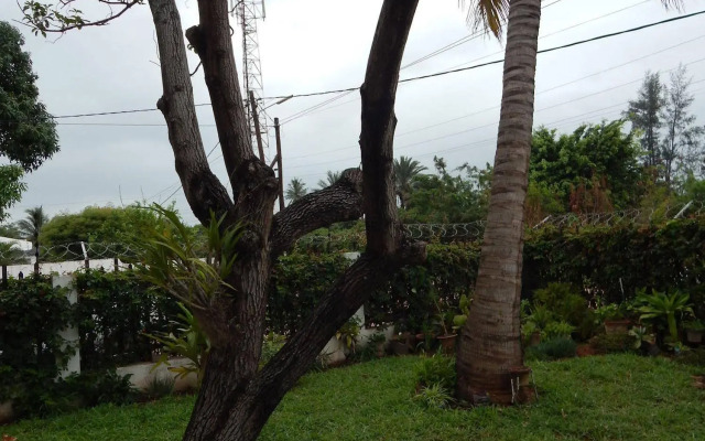 Marumadi - Planeta Mocambique