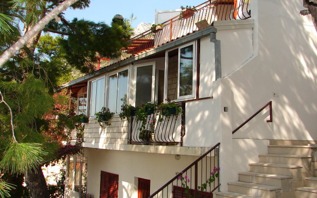 Apartment Roza - 200 m from sea : A1 Baska Voda, Riviera Makarska