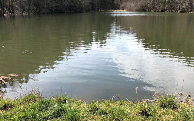 Snug holiday home in Harzgerode with outdoor whirlpool