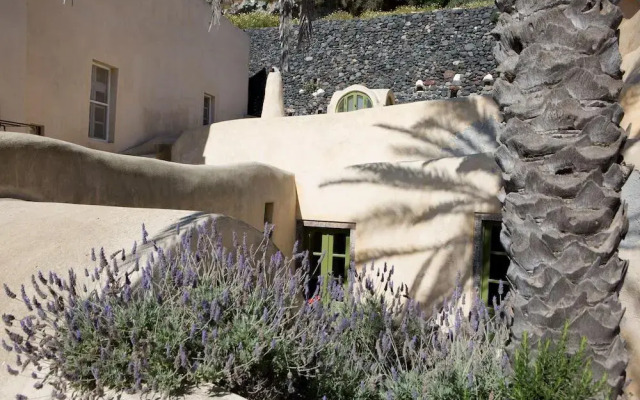 The Palm Tree Residence